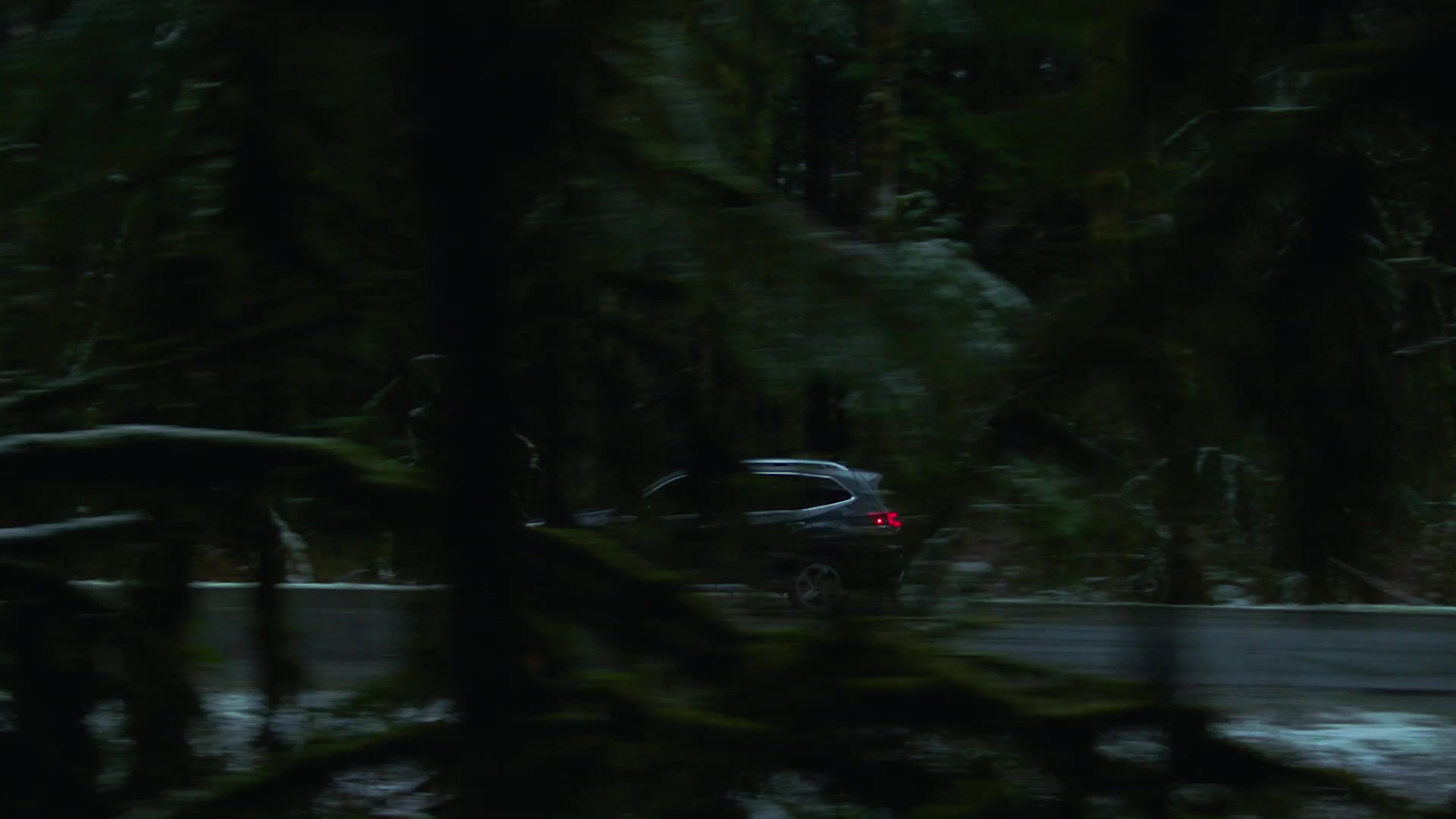 SUBARU // BLUEBIRD